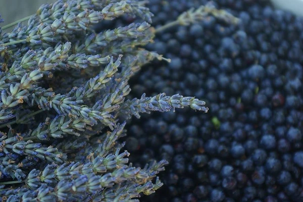 Vino casalingo alla lavanda - ai mirtilli