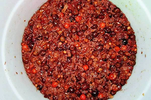 Vino casalingo di ciliegie e uva spina