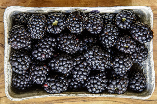 Vino di more fatto in casa semidolce