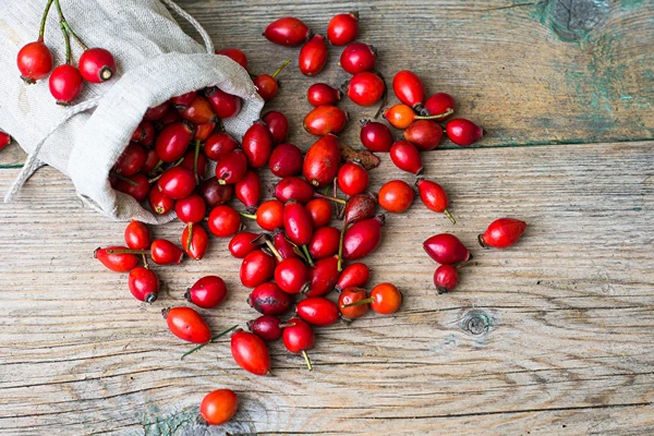 Vino di rosa canina con miele