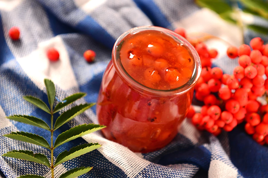 Browin Przepiśnik - Confettura di sorbo - ideale per le carni