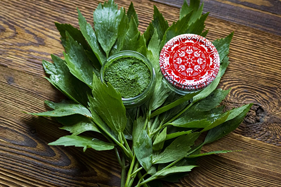 Browin Przepiśnik - Pasta di levistico — condimento MAGGI fatto in casa