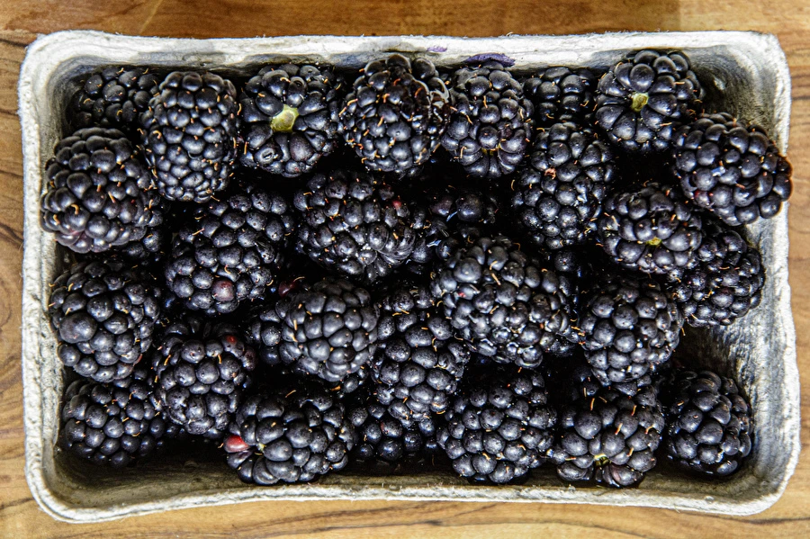 Browin Przepiśnik - Vino di more fatto in casa semidolce